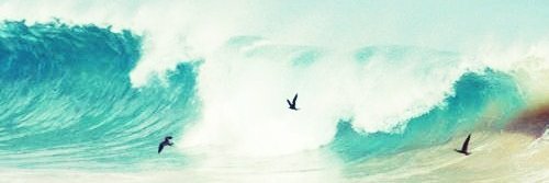 NeirobsonJ's profile banner image
