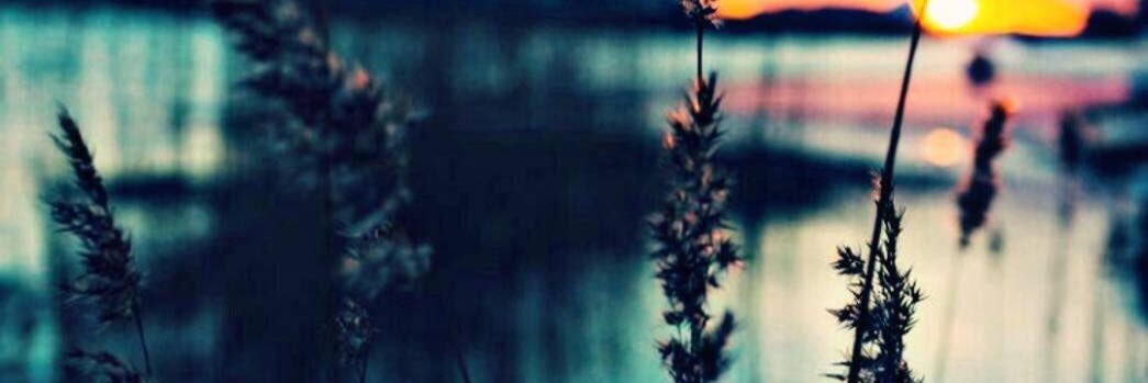 shabeb20's profile banner image