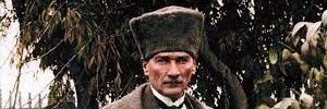 alibasbey's profile banner image
