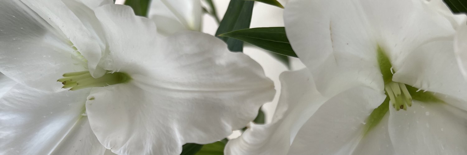 earlibirdrobin's profile banner image