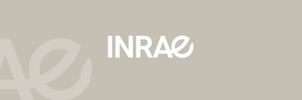 INRAE_ABEILLES Profile Banner