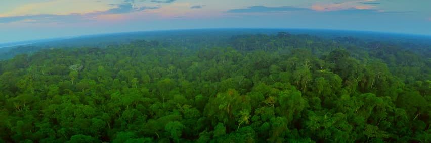 EcoHubble's profile banner image