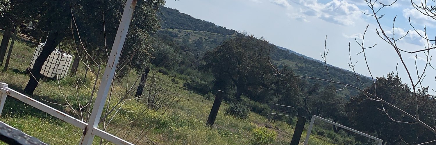 PabloRdrgz14's profile banner image