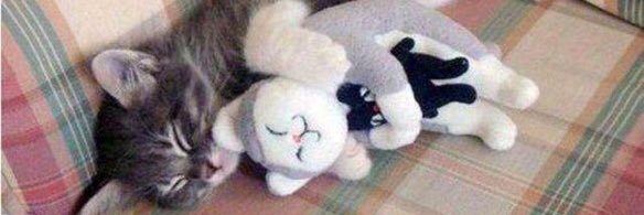 guit_wes's profile banner image