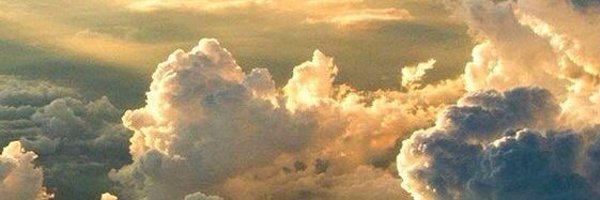 shalmayp Profile Banner