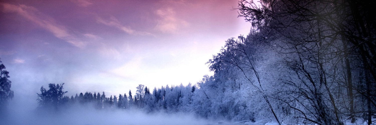 sicopoler's profile banner image