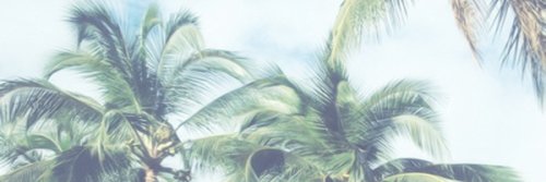 MeggersH's profile banner image
