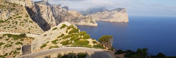 totev Profile Banner