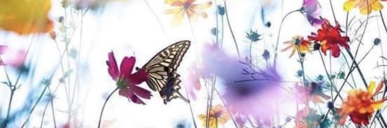 emmasmp's profile banner image
