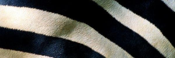Marioperna's profile banner image