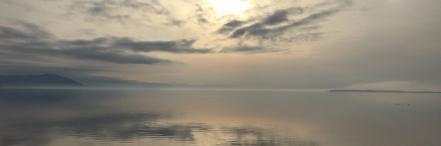 TMTCL's profile banner image