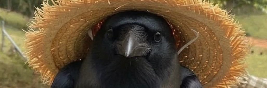 evchuuya's profile banner image
