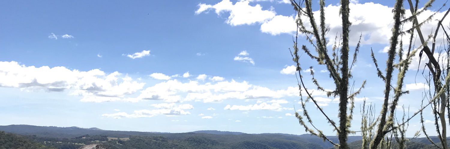 NoMuySimpatica's profile banner image