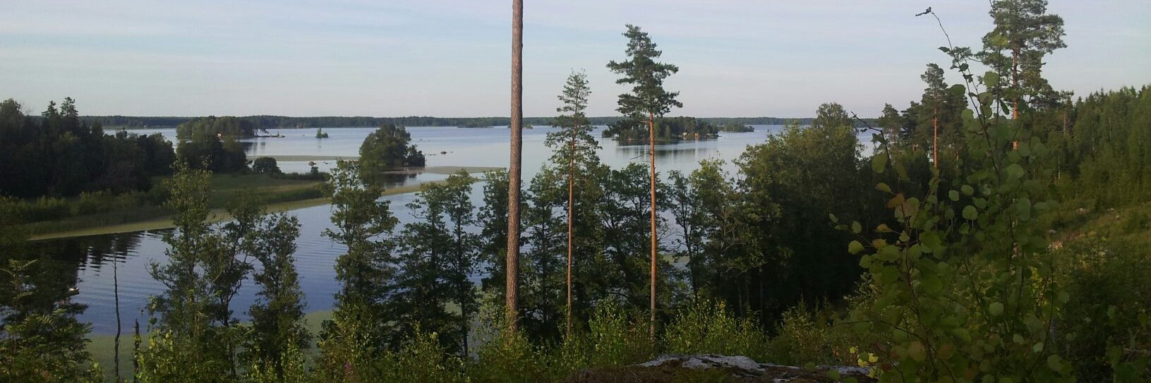 VikariePoolen banner