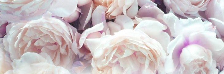 ChocolateFaceZA's profile banner image