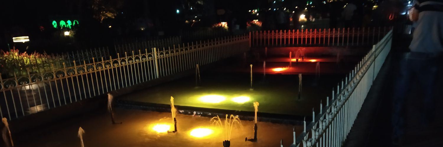 Deepa Balakrishnan banner