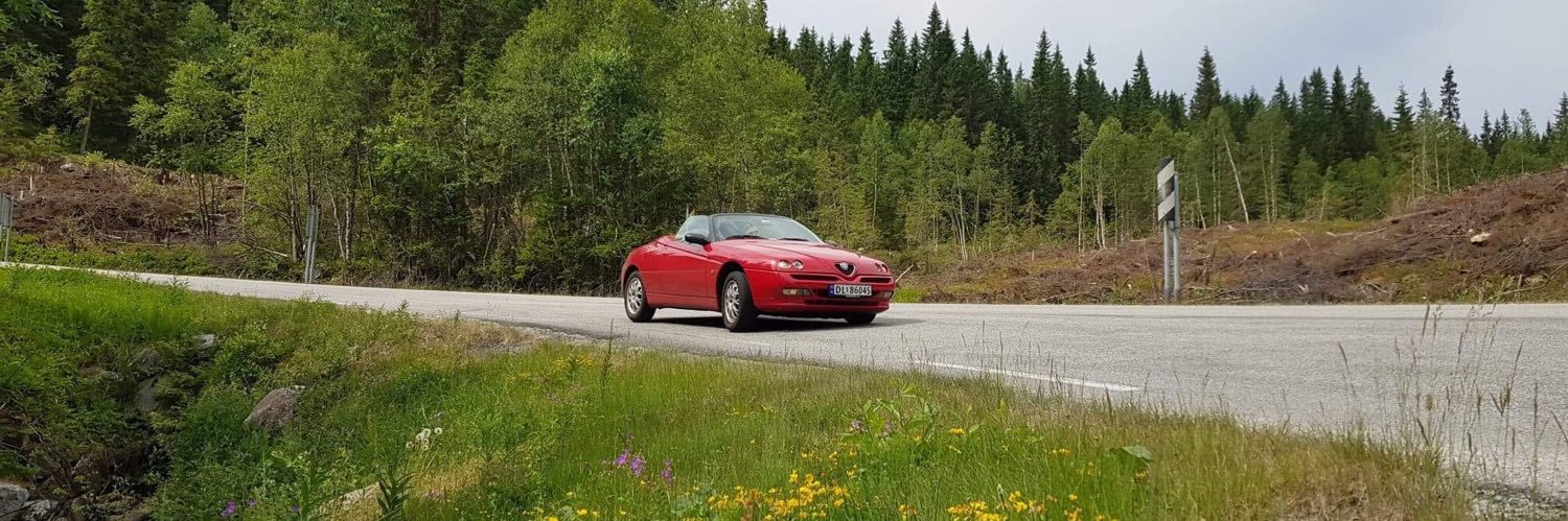 Rolf Gjerdsjø banner