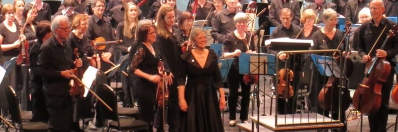 Catherine Rose banner