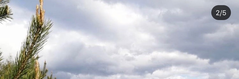 virtualworks1's profile banner image