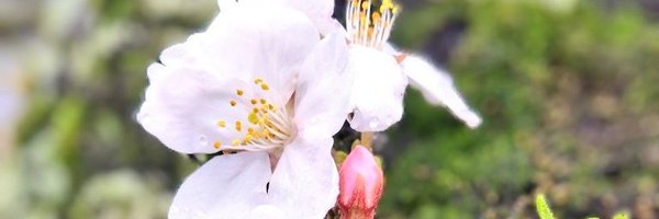 Matteoeffe85's profile banner image