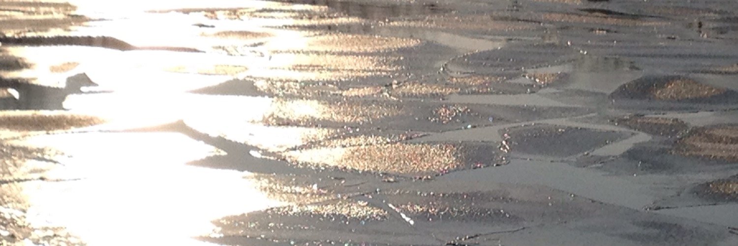 Anna Strasser DenkWerkstatt Berlin banner