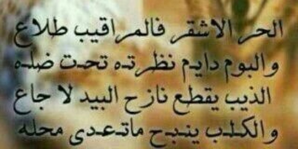 AyQhtani's profile banner image