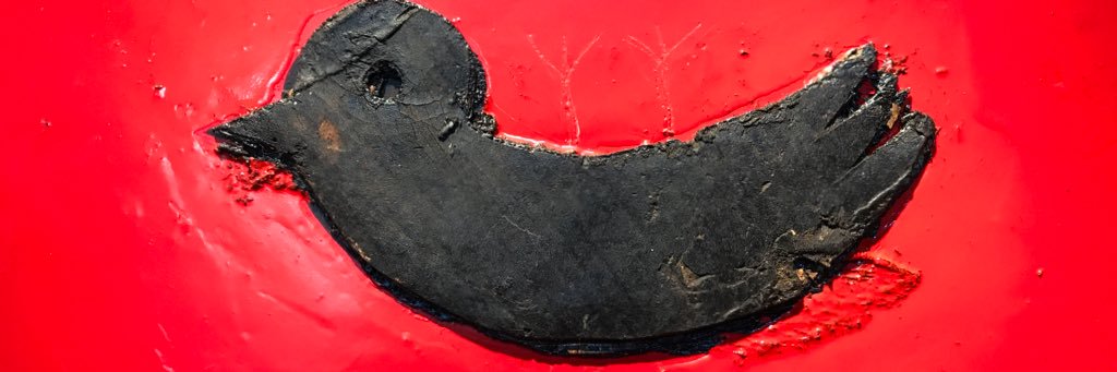 Davide Cionfrini banner