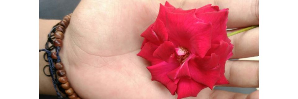 pujihernashfa's profile banner image