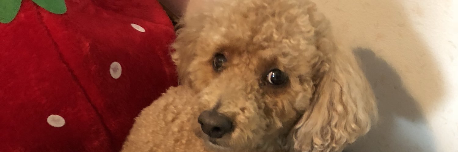 yuuuka3jsb's profile banner image