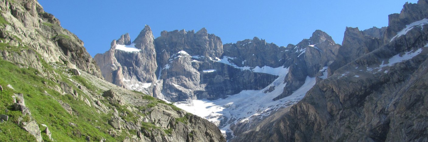 Felix Mannhardt banner