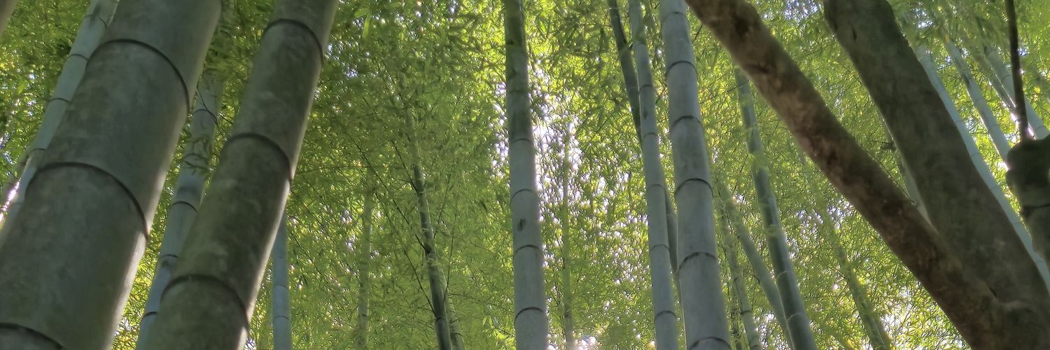 RSBiki's profile banner image