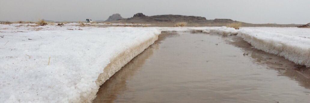 عساف البدراني banner