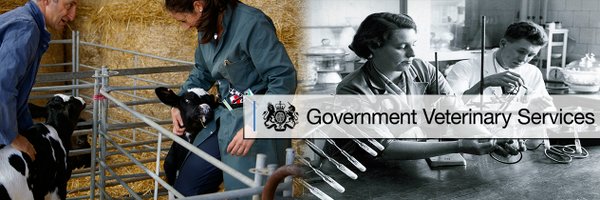 ChiefVetUK Profile Banner