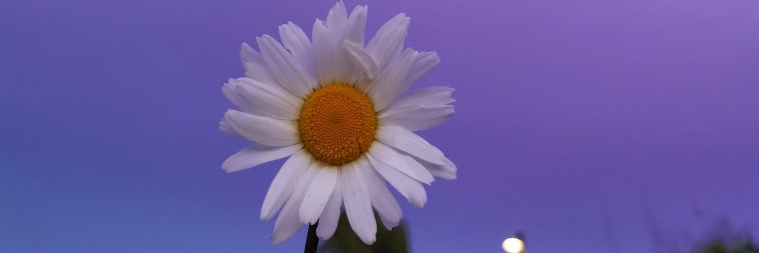iammarlie_23's profile banner image