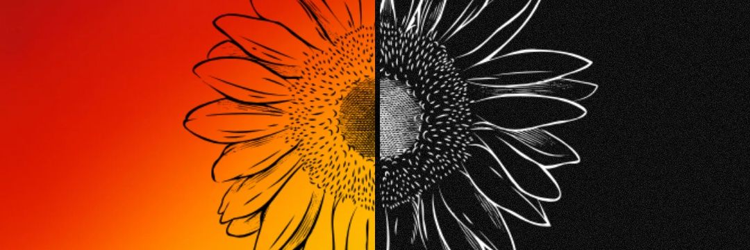 kattowrites's profile banner image