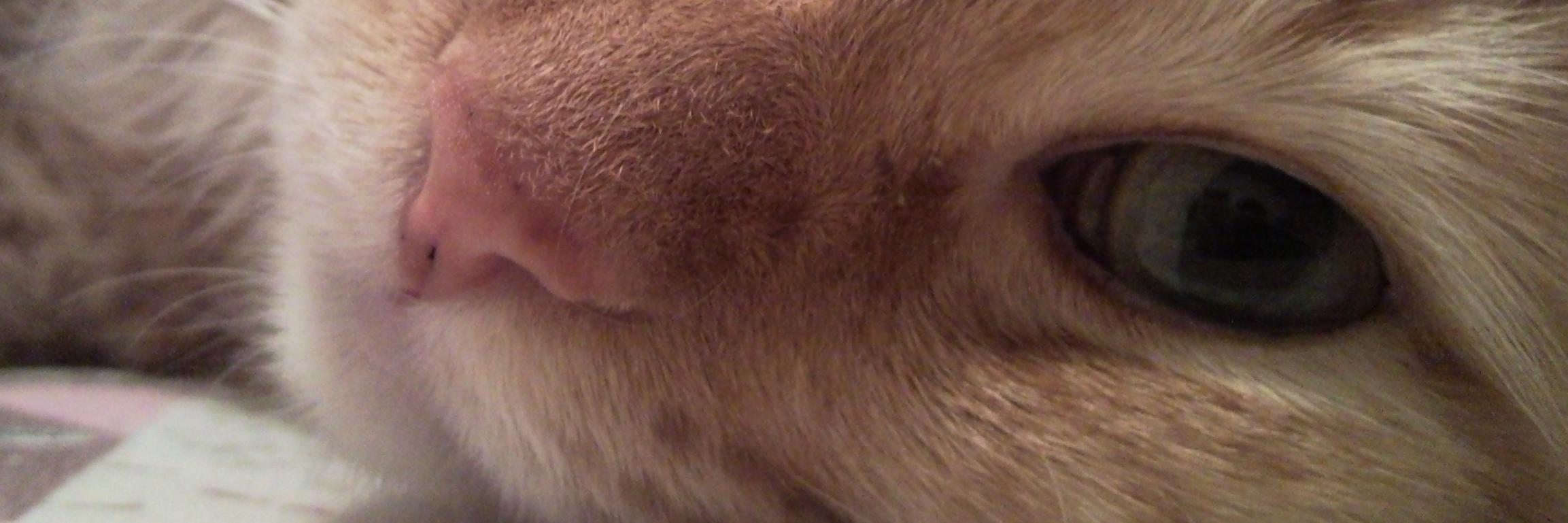 Tays Díaz Ríos banner