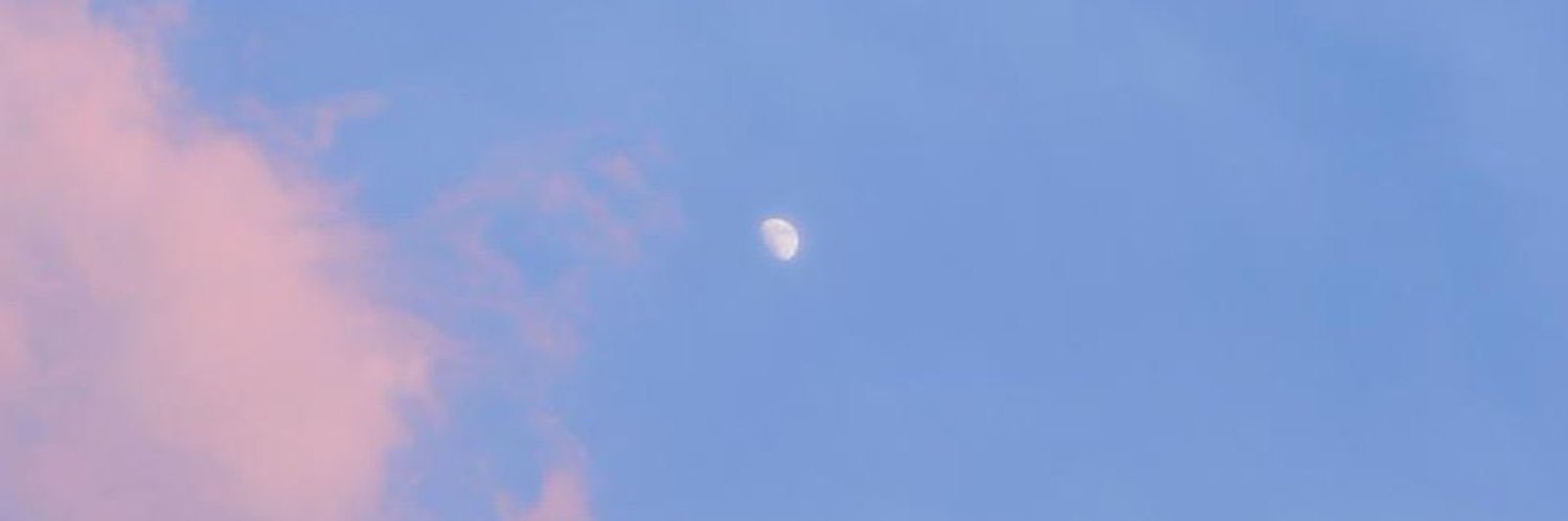 lenejaneh's profile banner image