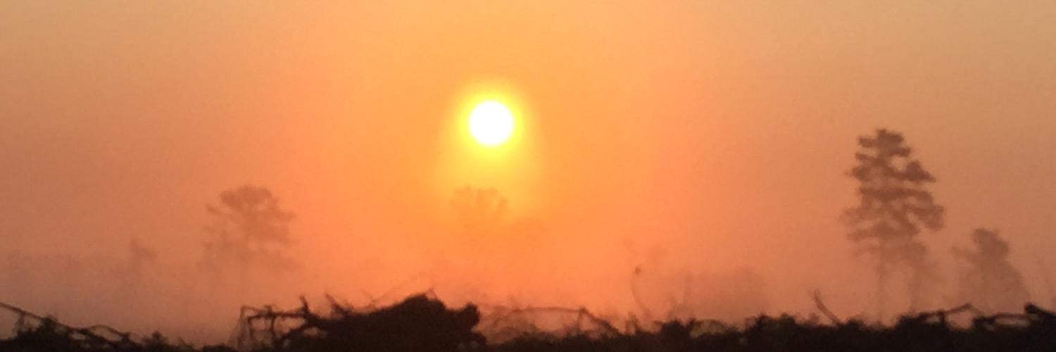 gc_CAMiller's profile banner image