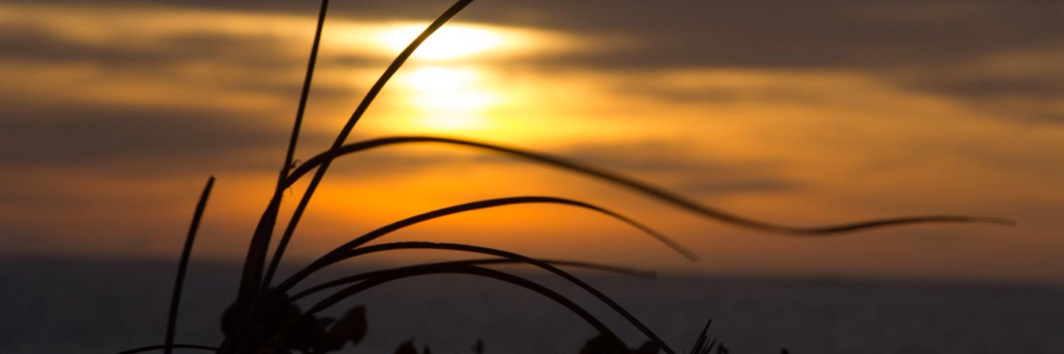 hitleyb's profile banner image