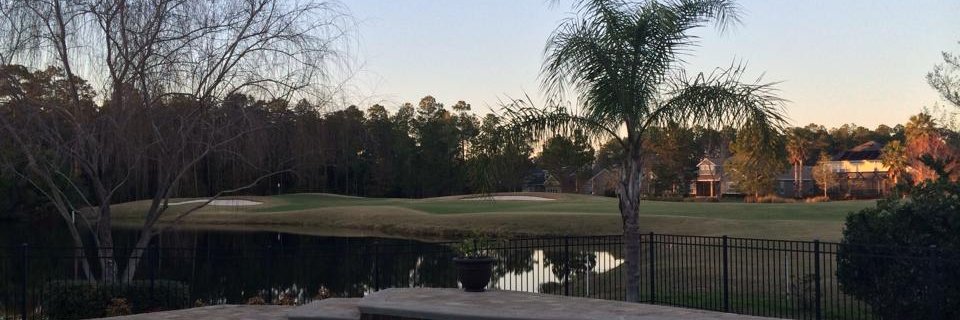 marktstevens's profile banner image