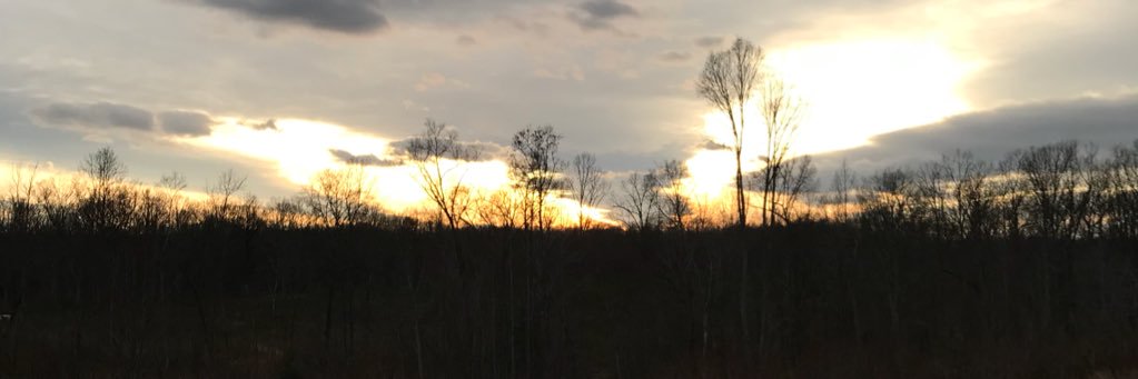 ehtibbs64's profile banner image