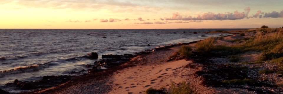 janete_l's profile banner image