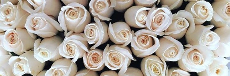 EmParks1's profile banner image