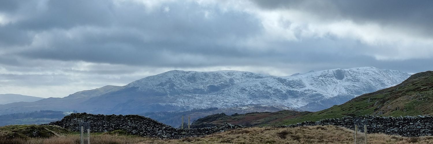 bluebird82_'s profile banner image