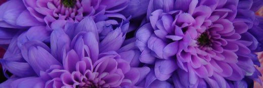 Jeffy609's profile banner image