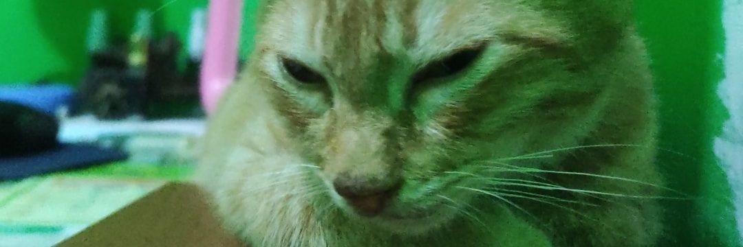 master_blee's profile banner image