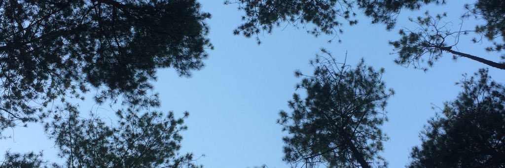 mrf16_'s profile banner image