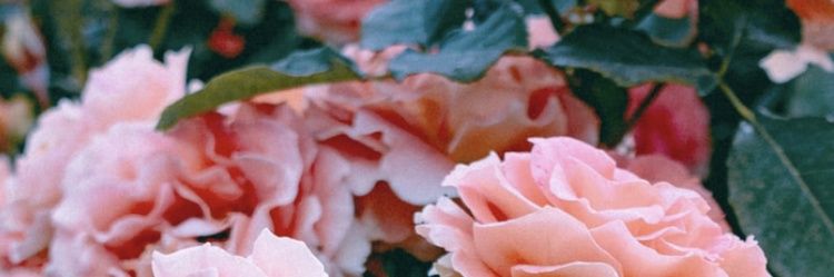 ikmmal_'s profile banner image