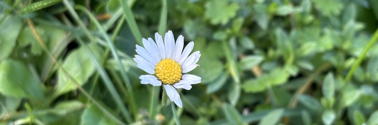 Olivier is klaar met deze website banner