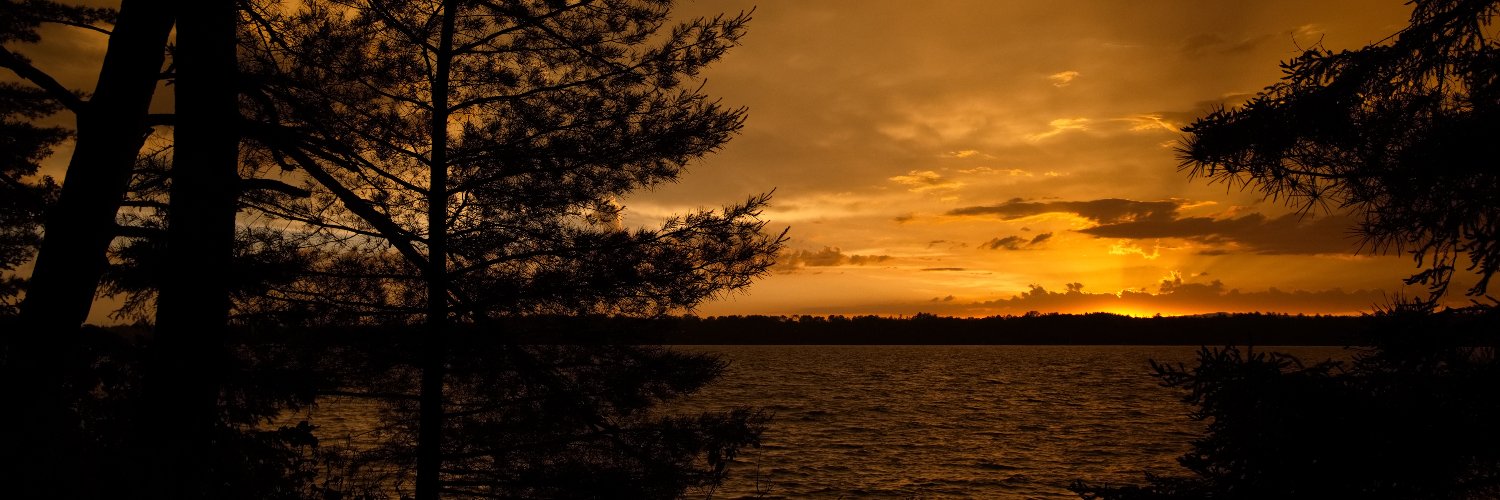 jandyf's profile banner image